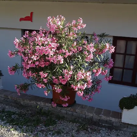 Diana Fogado B&B 3*